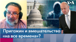 Василий Гатов: «Трамп гораздо чаще вмешивался в выборы, чем любой Пригожин»
