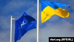 Флаги НАТО и Украины